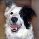 Diamond was adopted in February, 2004